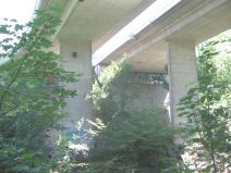 Mnchenstein: : Die Autobahn H18-Zubringer
                        zerstrt das Birsufer als Erholungsraum 01