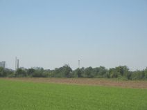Pratteln: Netzibodenstrasse, ARA Rhein,
                        Sicht auf das Feld mit den Kaminen der
                        Giftfabriken von Schweizerhalle am Horizont 02