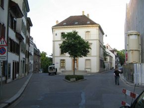 Basel, Sankt-Alban-Vorstadt, Baum an der
                        Kreuzung mit dem Mhlenberg