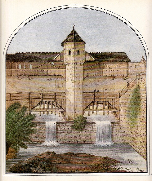 Ble
                      sud: seuil du Birsig chez la porte des Pierres
                      (Steinentor), 1860 (dmoli)