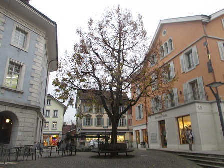 Langenthal Marktgasse, Baum mit Rundbank