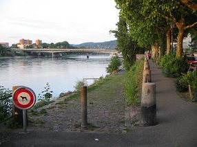 Basel, Sankt-Alban-Rheinweg, Sicht auf
                        Schwarzwaldbrcke
