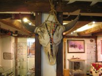 Zurich, Upper Town Street, shop
                                with native's art of the
                                "USA", skull of a buffalo