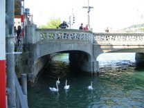 Schipfe and Rudolf Brun Bridge, there is a
                        man feeding the swans