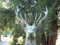 Zurich, Platzspitz-Park (Pointed Square
                        Park), statue of a stag, the head with it's
                        horns, frontal view