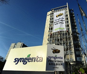 Giftige
                              Pestizide von Syngenta in Basel tragen zum
                              Bienensterben bei
