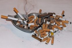 Überfüllter Aschenbecher. Diese Raucher-Stinkerei
                  ist in der Schweiz immer noch legal (2008)