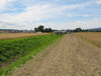 Rckweg vom Kornkreis in Richtung Brcke
